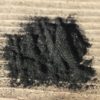 Sain et beau grâce au charbon actif ?