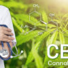 Quels sont les bienfaits du cannabidiol (cbd) sur l’organisme ?