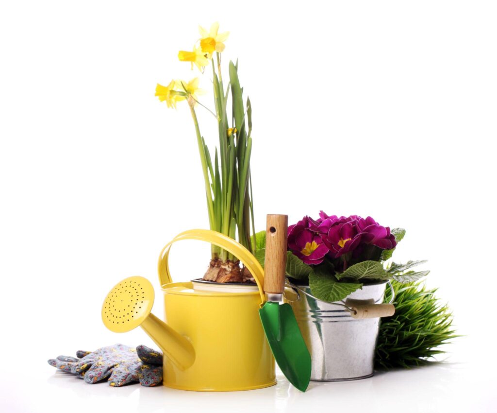Comment aménager son jardin sans se ruiner ?