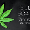 Le CBD : utile pour atténuer la douleur et soutenir la santé ?
