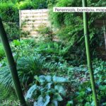 Bien vivre dans son jardin ! Focus sur le bambou